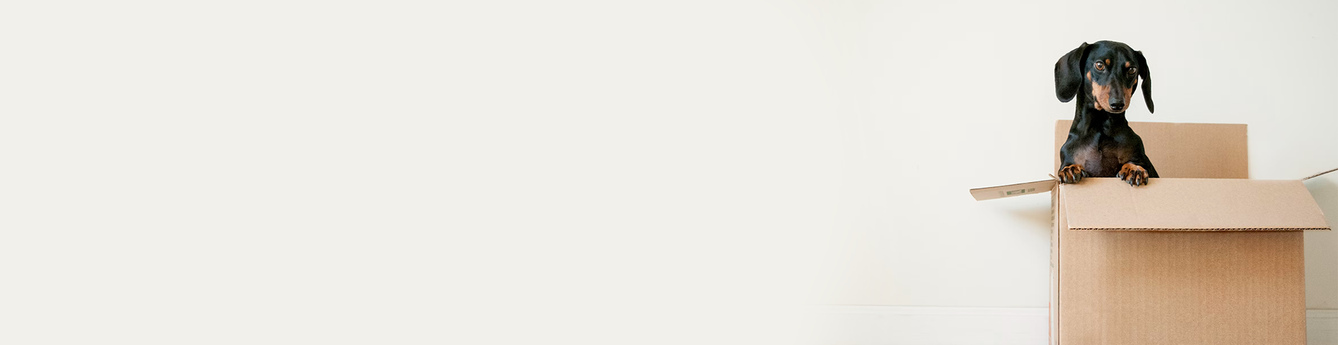 Removalists Canberra North Removalists Canberra North