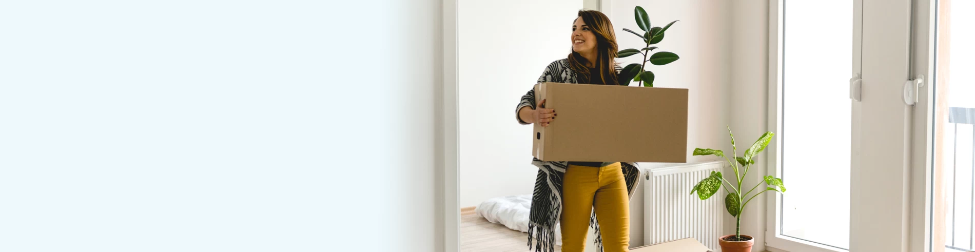 Removalists Civic Removalists Civic